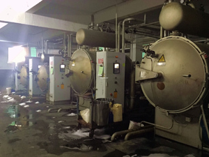 dyeing workshop